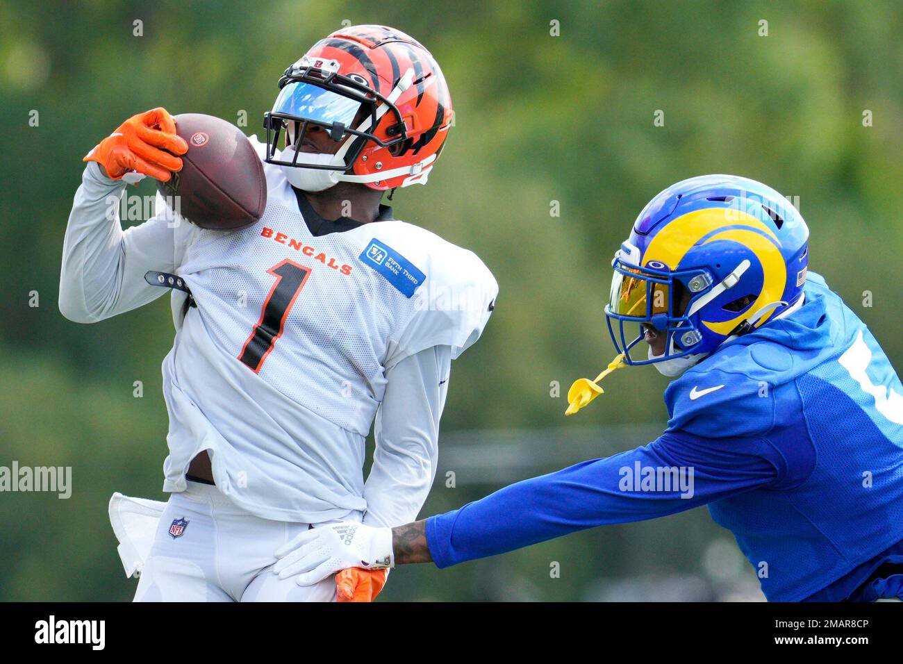 Cincinnati Bengals wide receiver Ja'Marr Chase (1) makes a catch against  Los Angeles Rams cornerback Jalen Ramsey during a drill at the team's NFL  football training facility, Wednesday, Aug. 24, 2022, in