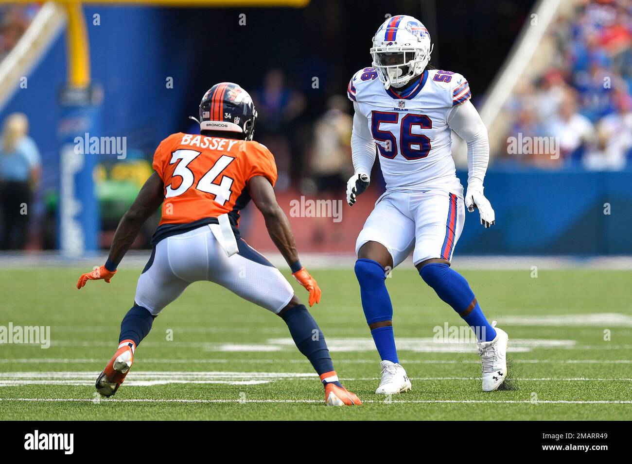 Buffalo Bills defensive end Mike Love walks off the field after a preseason  NFL football game against the Denver Broncos in Orchard Park, N.Y.,  Saturday, Aug. 20, 2022. (AP Photo/Adrian Kraus Stock