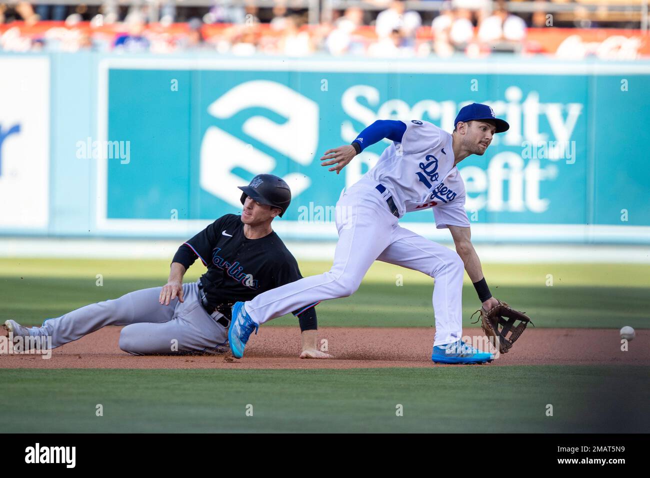 Miami Marlins first base coach Keith Johnson checks out a cricket