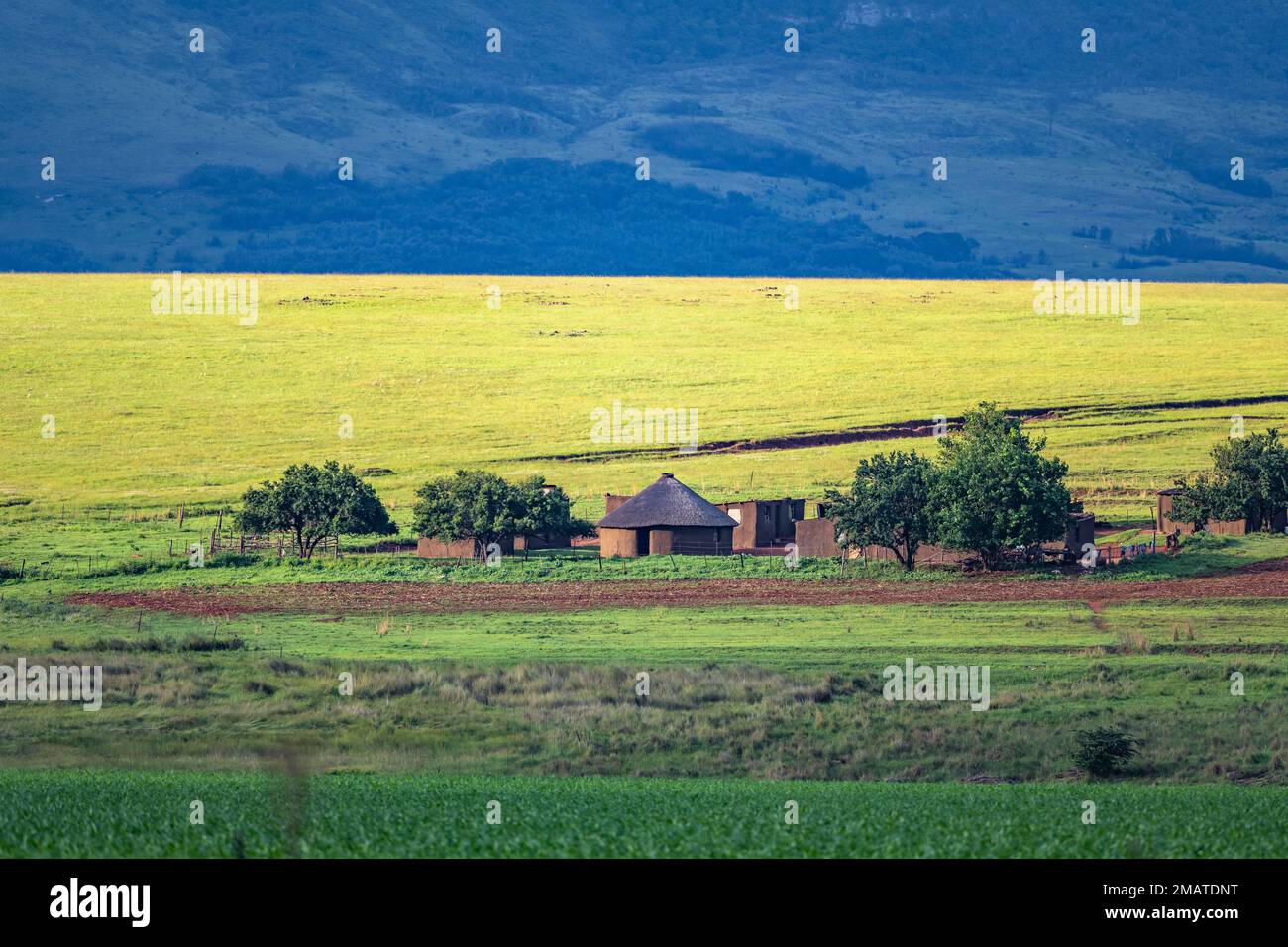 A traditional Zulu round hut in a small village. Kwazulu Natal, South Africa. Stock Photo