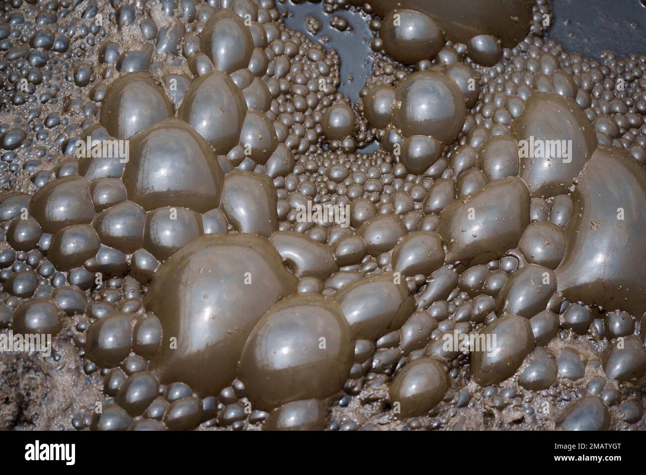 Bubbles form from the polluted water of the Bagmati River as it is processed at the Guheswori Wastewater Treatment Plant before it reaches the Pashupatinath Temple in Kathmandu, Nepal, Friday, June 3, 2022. (AP Photo/Niranjan Shrestha) Stock Photo
