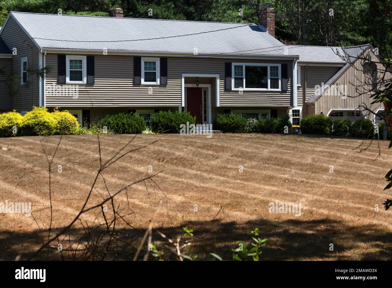 A lawn turns brown due to the drought, Saturday, Aug. 6, 2022, in ...
