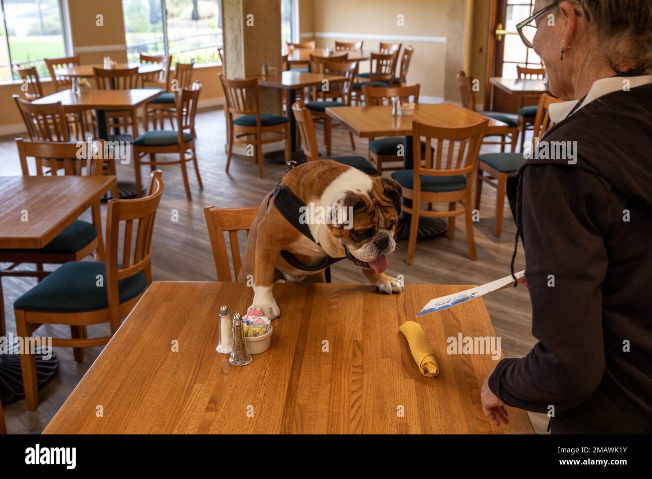 Dawn Crampton, a waiter at The Bay View, hands U.S. Marine Corps Cpl. Manny a menu at Marine Corps Recruit Depot San Diego, June 6, 2022. Manny was named after Sgt. Johnny R. Manuelito, one of the original Navajo Code Talkers. Stock Photo