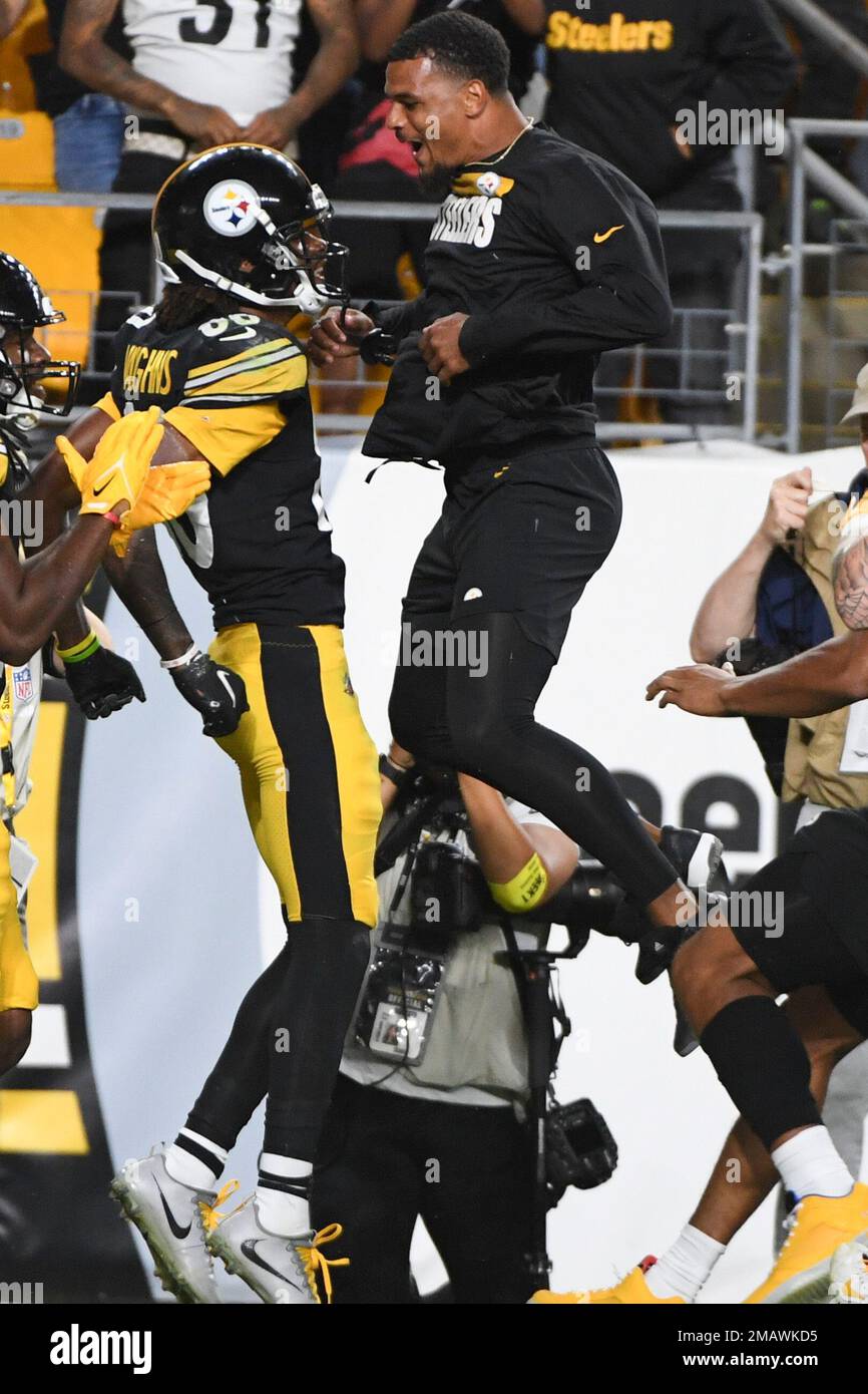 Pittsburgh Steelers wide receiver Anthony Johnson (83) celebrates scoring a  touchdown with wide receiver Tyler Simmons (82) during the Pro Football Ha  Stock Photo - Alamy