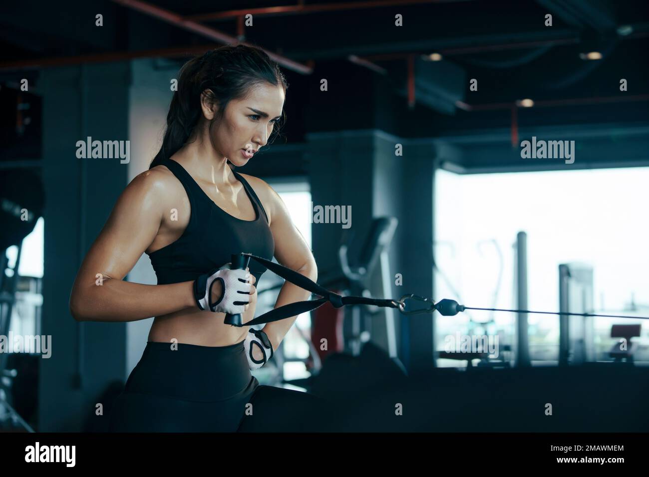 Sporty woman exercising on multistation at gym for arm and shoulders muscles. Fitness exercising in gym. Stock Photo