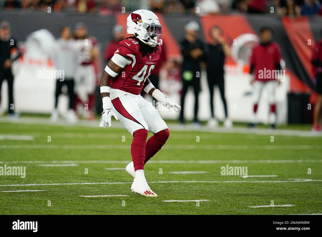 Arizona Cardinals safety Tae Daley (48) in action as the Arizona