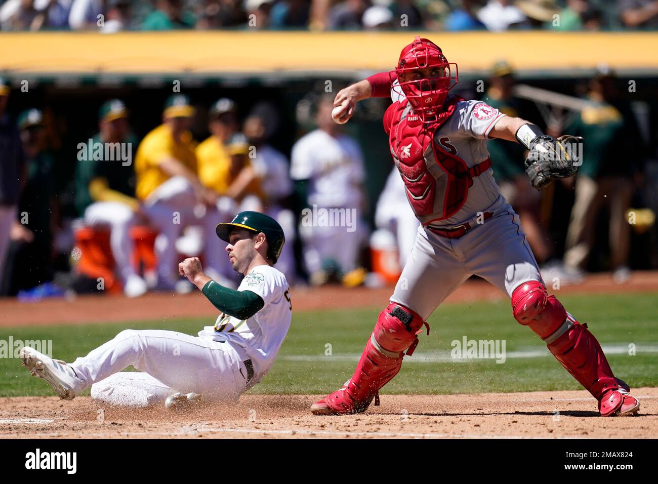 Oakland Athletics' Cal Stevenson during a baseball game against