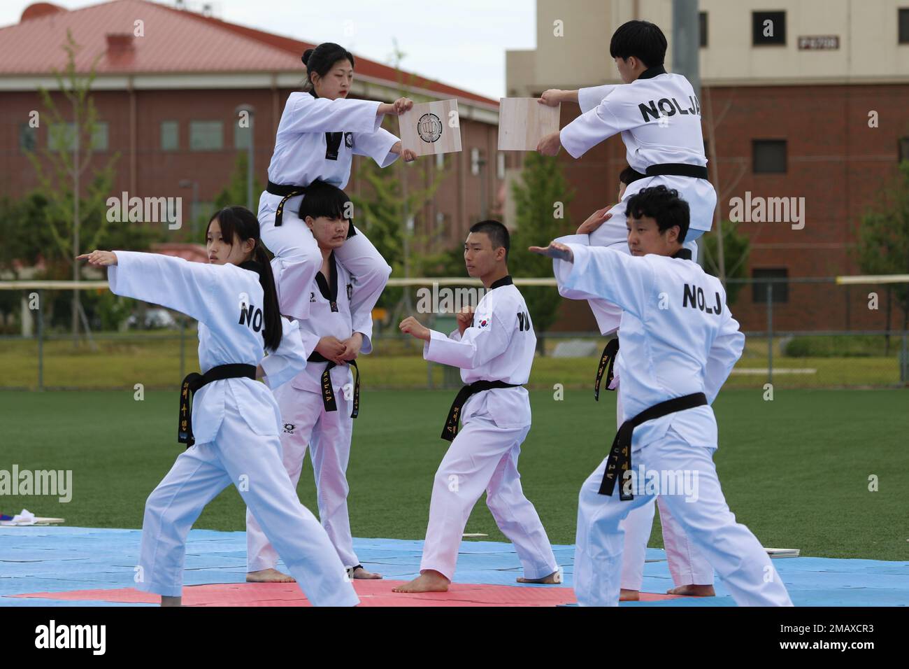 Sport TKD group  Markham Taekwondo Academy and Martial Arts