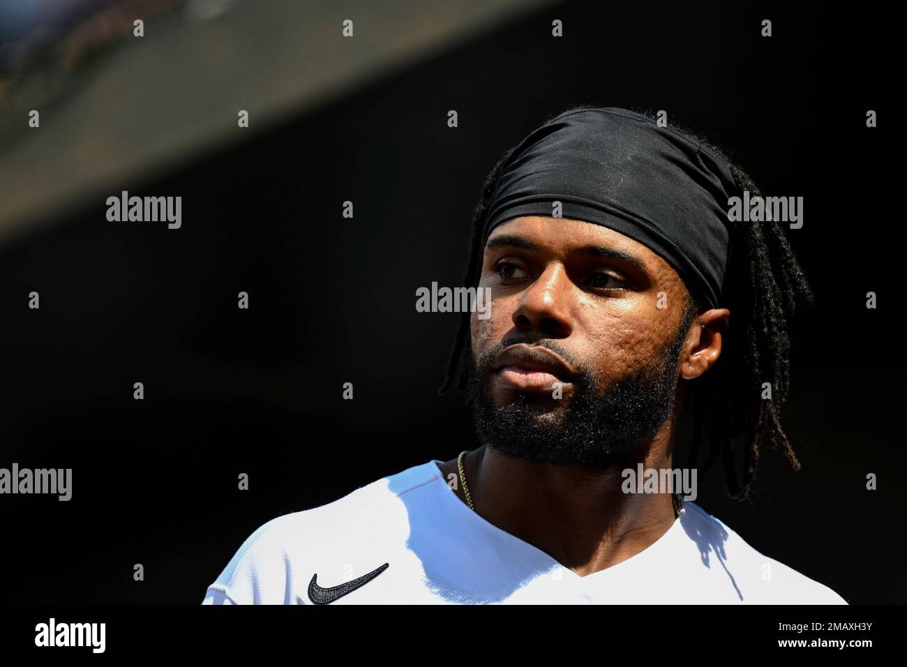 Baltimore Orioles' Cedric Mullins looks on from the dugout during a  baseball game against the Pittsburgh Pirates, Sunday, Aug 7, 2022, in  Baltimore. (AP Photo/Terrance Williams Stock Photo - Alamy