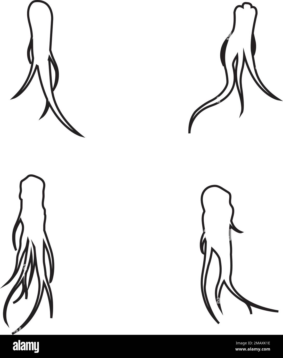 ginseng logo stock illustration design Stock Vector Image & Art Alamy