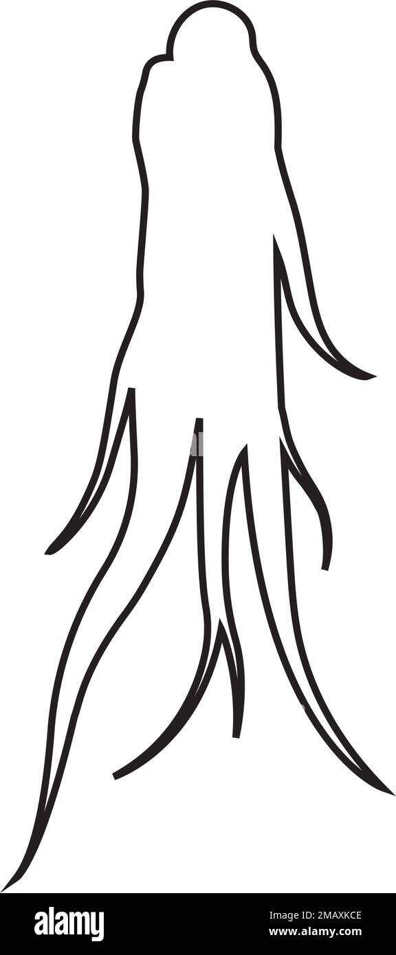 ginseng logo stock illustration design Stock Vector Image & Art Alamy