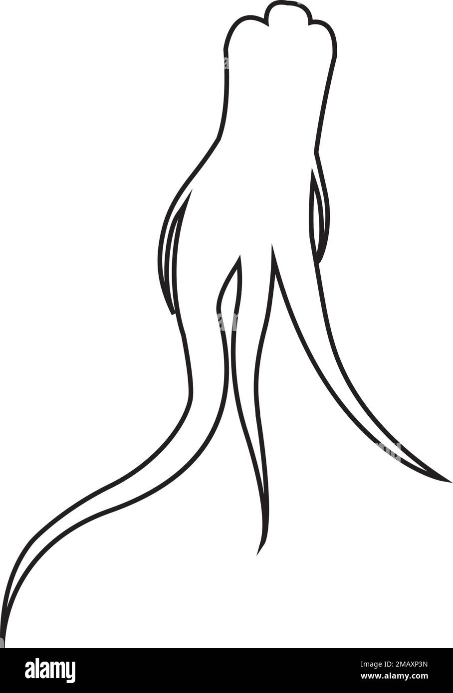 ginseng logo stock illustration design Stock Vector Image & Art Alamy