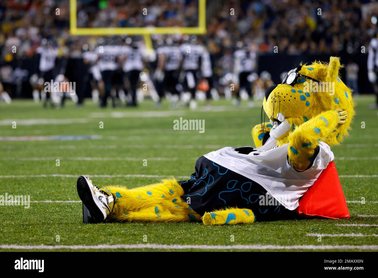 Jacksonville Jaguars mascot Jaxson de Ville sits on the field during a  stoppage in play during an NFL preseason football game between the  Jacksonville Jaguars and the Las Vegas Raiders, Thursday, Aug.