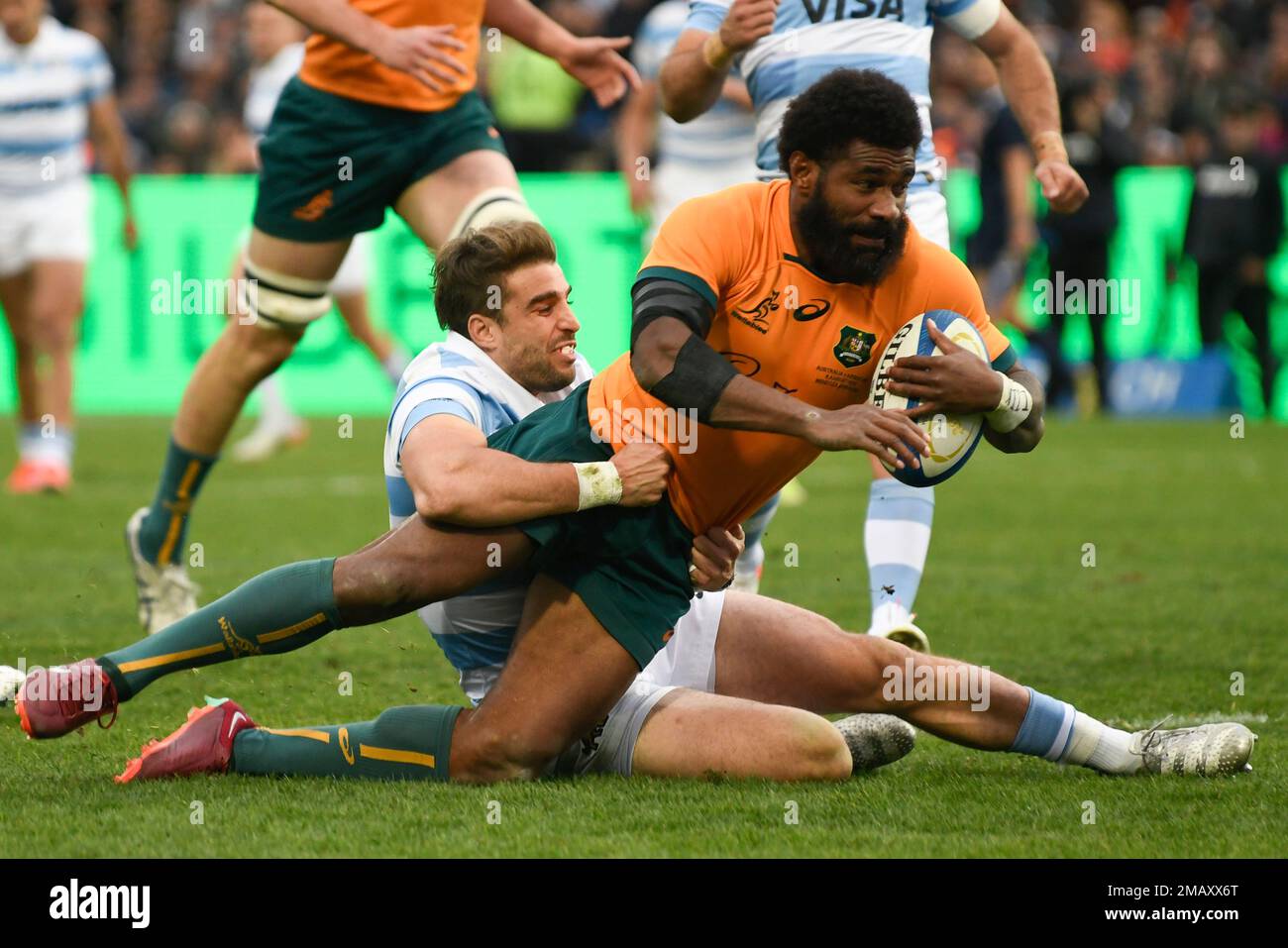 Rugby championship los pumas top