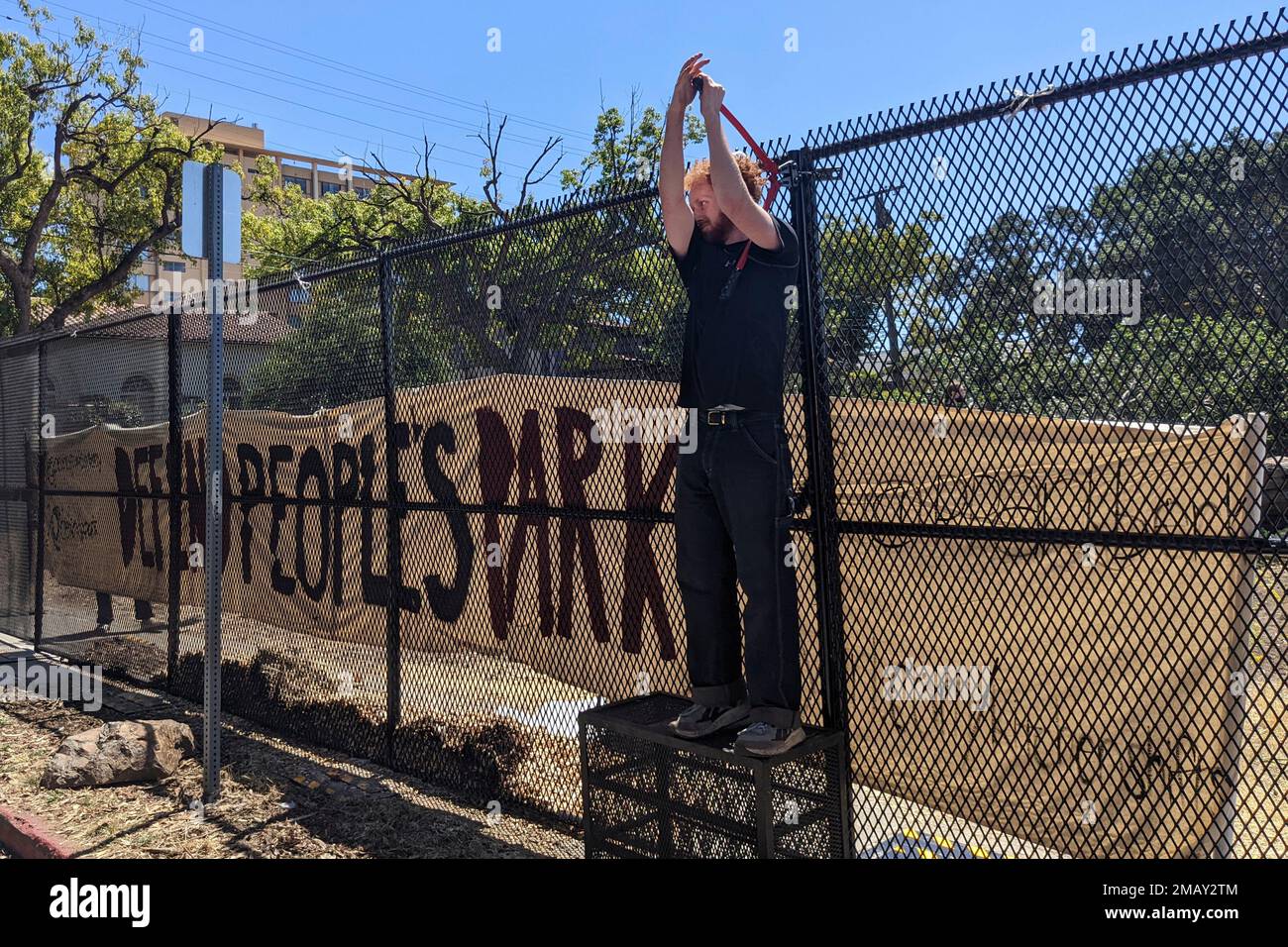 FILE A protester uses bolt cutters to take down part of the fence that the University of