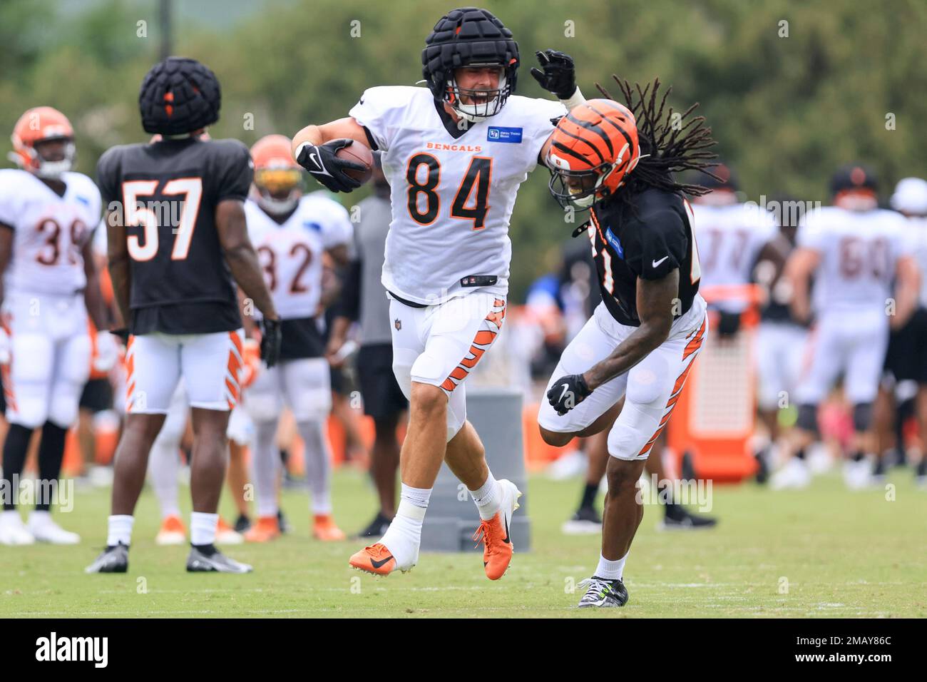 Cincinnati Bengals Tight End Mitch Wilcox Cleared to Practice