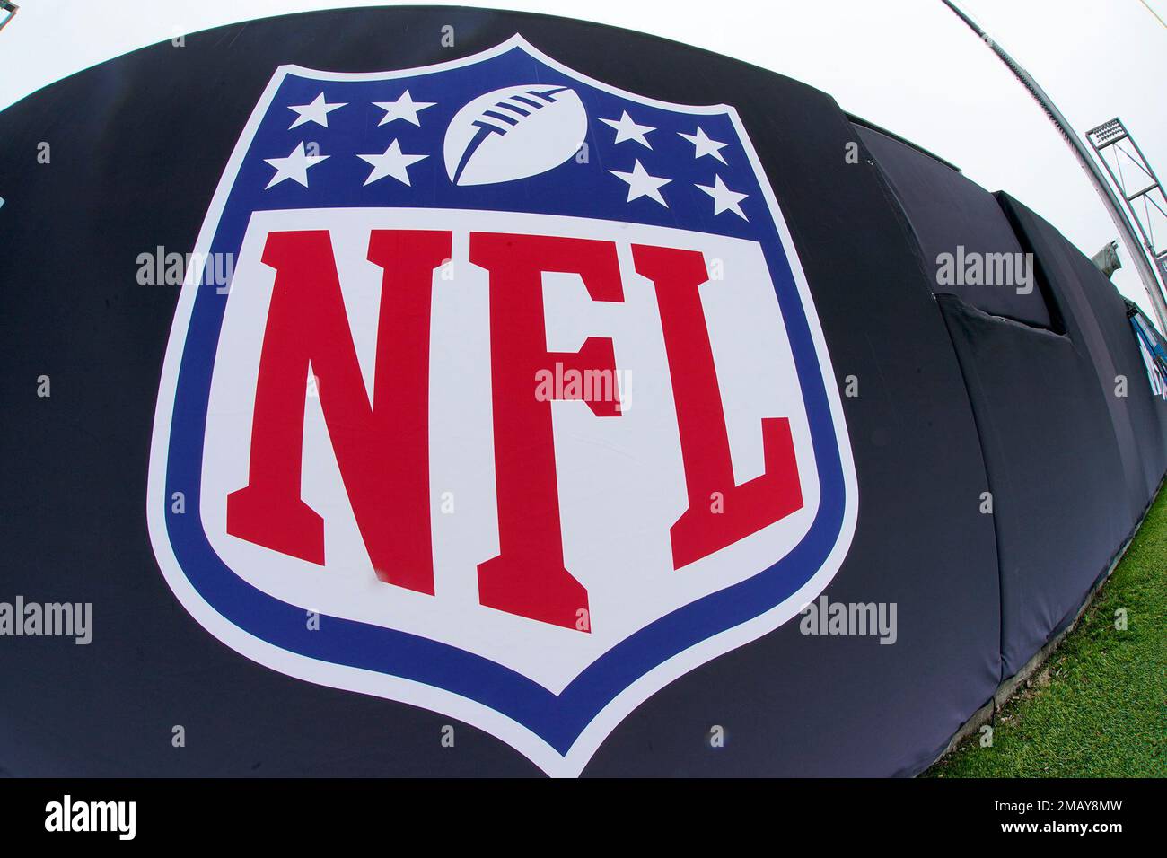 This is the National Football League shield on the field at Tom Benson