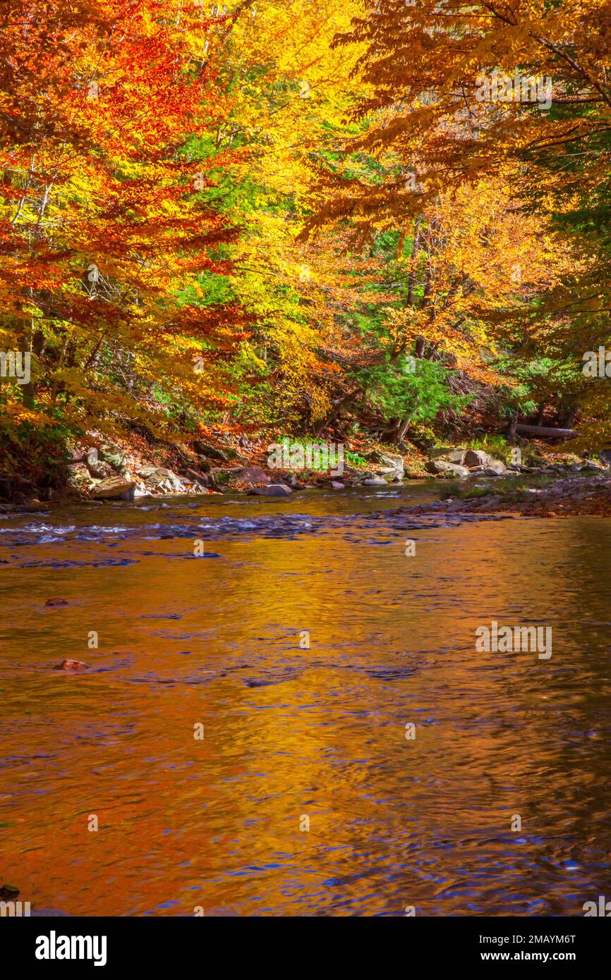 The Lackawaxen River, a tributary of the Delware River, in autumn at Prompton State Park, Wayne County, Pennsylvania Stock Photo