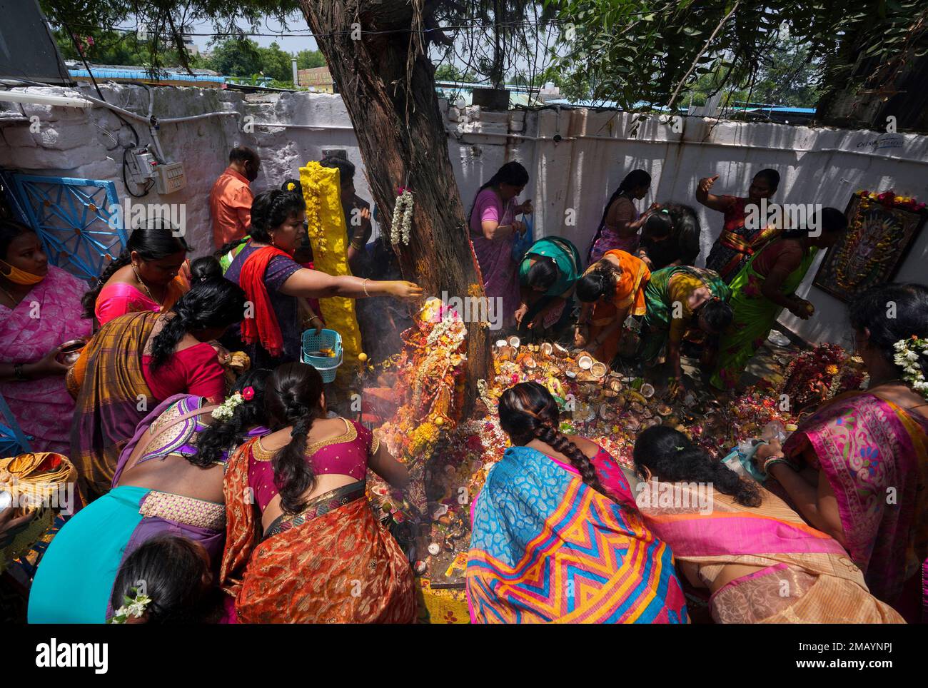 Nag 2024 panchami festival