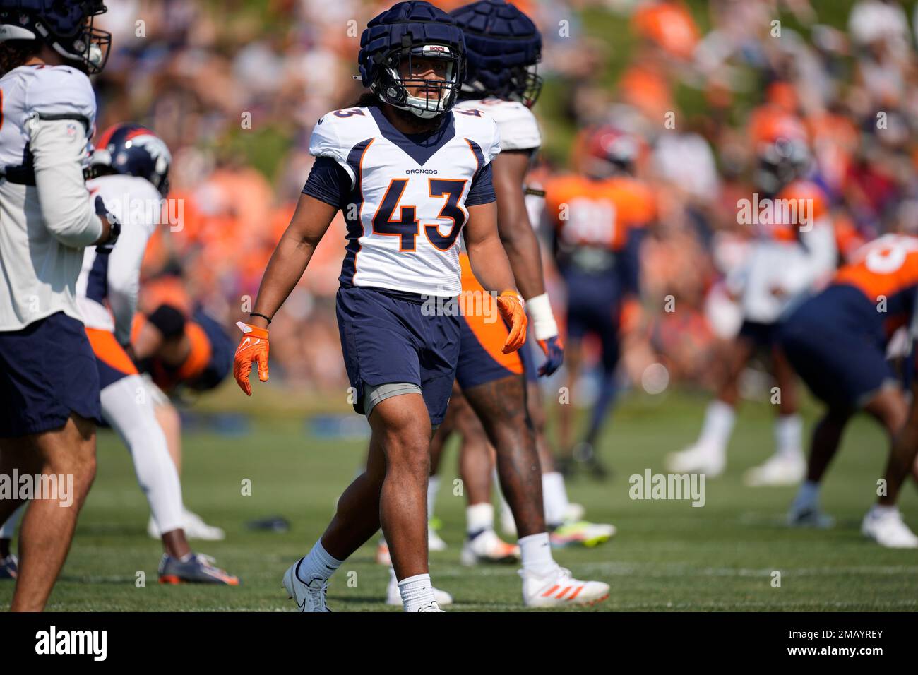 Minnesota Vikings tight end Zach Davidson (40) runs against the Denver  Broncos during an NFL preseason football game, Saturday, Aug. 27, 2022, in  Denver. (AP Photo/Jack Dempsey Stock Photo - Alamy