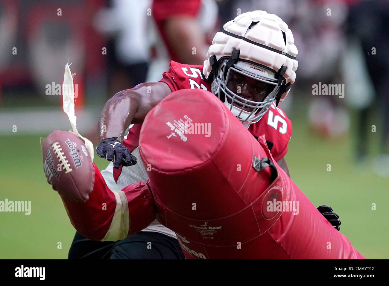 Arizona Cardinals linebacker Victor Dimukeje runs upfield against the  Carolina Panthers during an NFL football game in Charlotte, N.C., Sunday,  Oct. 2, 2022. (AP Photo/Nell Redmond Stock Photo - Alamy