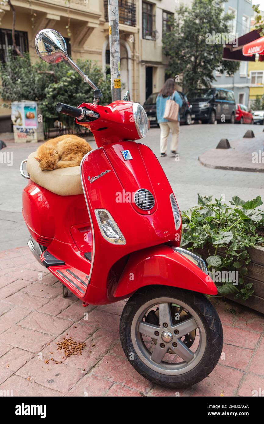scooter,City transportation for short distances with alternative eco