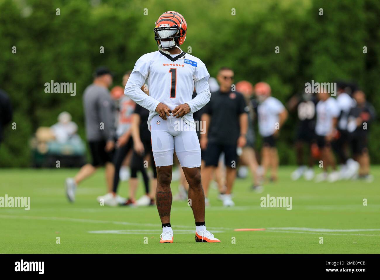 Cincinnati Bengals' Ja'Marr Chase in a drill during a practice at the