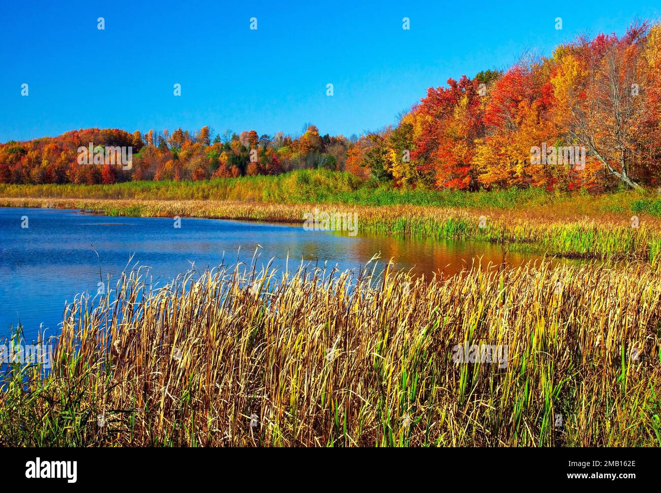 White Oak Pond is parly a natural and man-made lake in Wayne County, Pennsylvania and owned by the Pennsylvania Fish & Boat Commission for outdoor rec Stock Photo