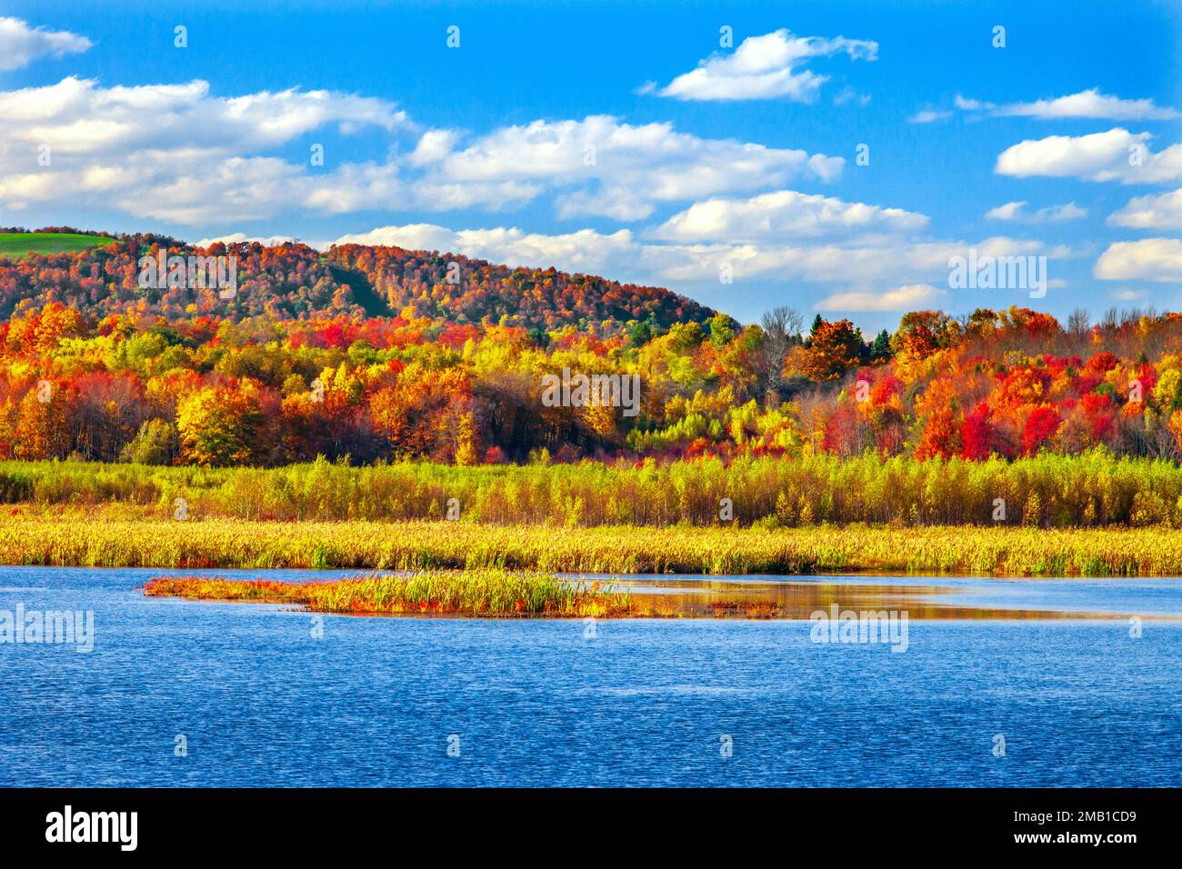 White Oak Pond is parly a natural and manmade lake in Wayne County
