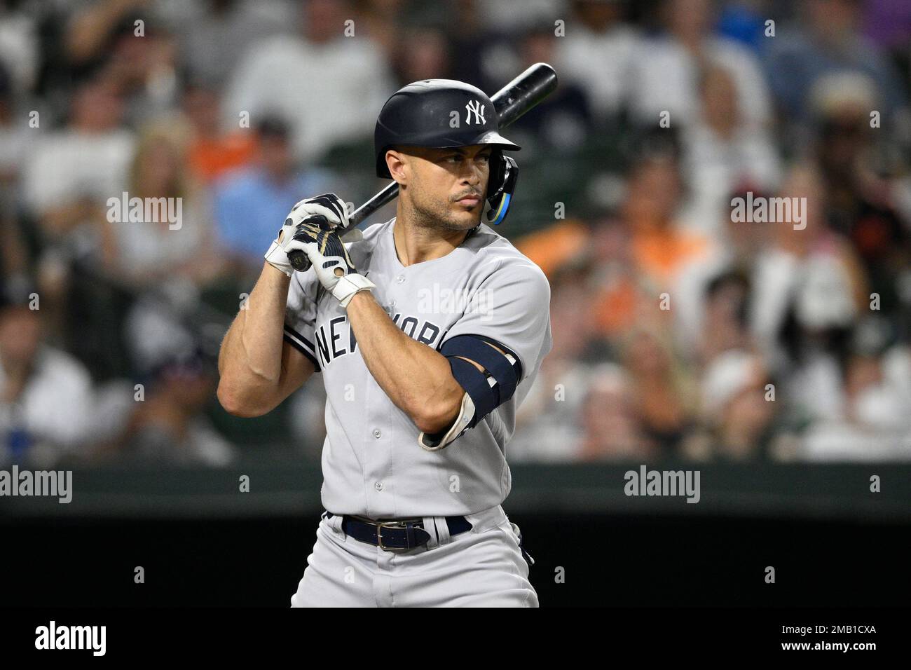 Download New York Yankees Stanton Game Field Wallpaper