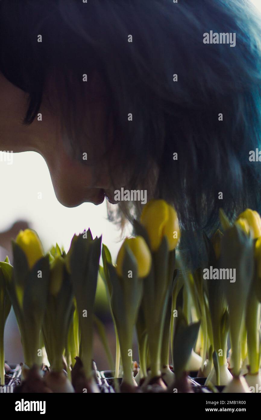 Close up cyan haired woman smelling yellow tulips concept photo Stock Photo