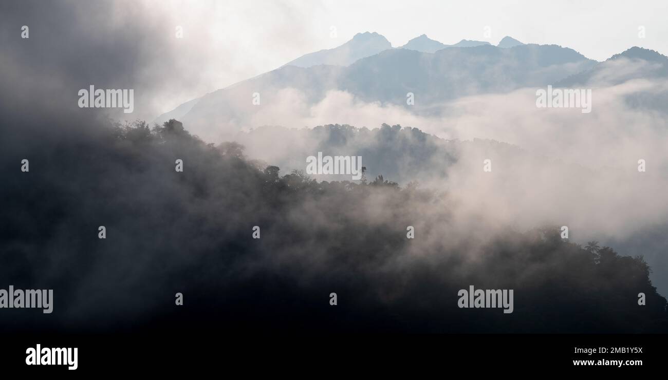 Cloud forest panorama in mist and fog at sunrise, Mindo Cloud Forest, Ecuador. Stock Photo