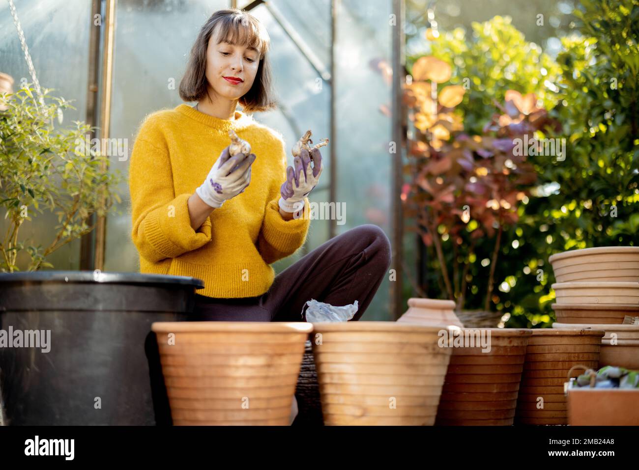 Woman planting flowers in jugs at garden Stock Photo - Alamy