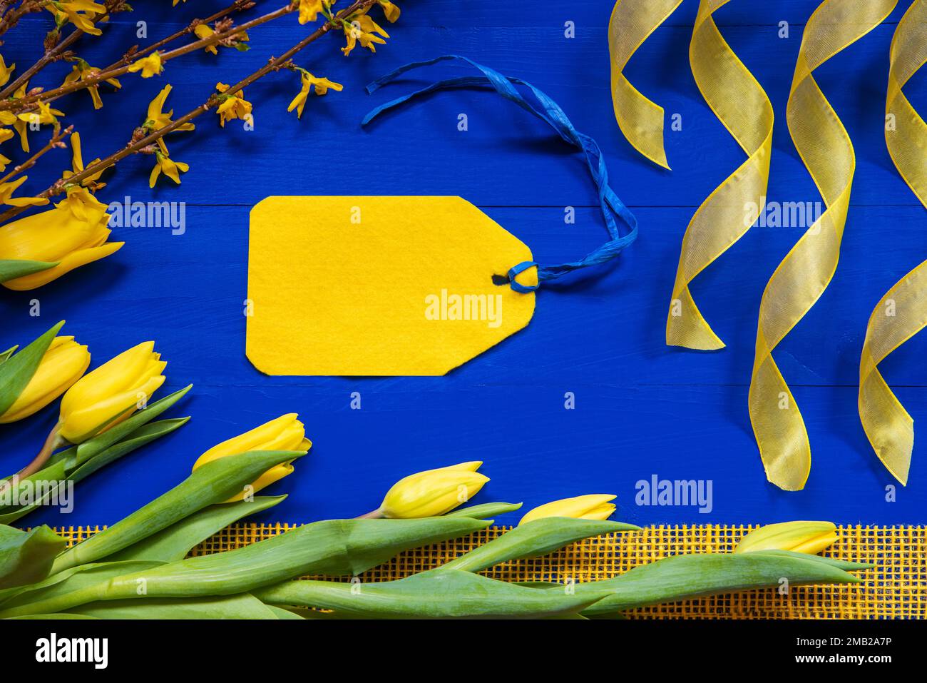 Yellow Tulip Flowers And Easter Branch, Label With Copy Space, Blue Background Stock Photo