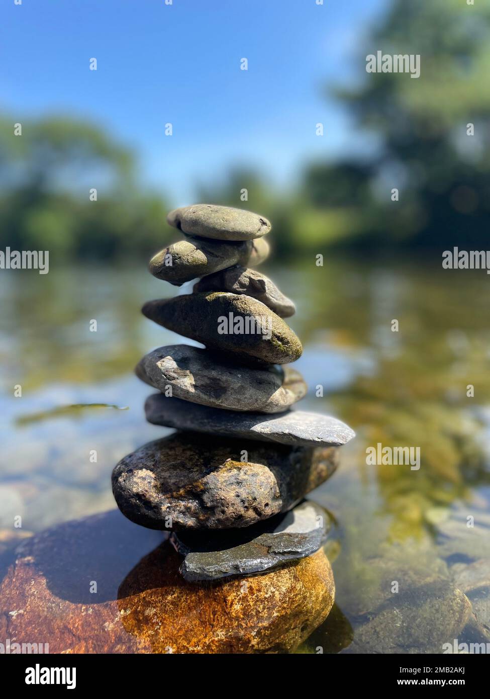 Vertical selective closeup shot hi-res stock photography and images - Alamy