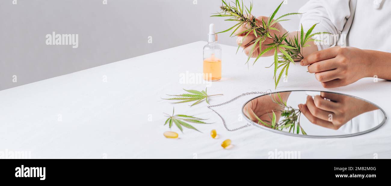 Cannabis in hand. Pharmaceutical medicine pills, capsules on a white table. Concept Melatonin production and restore sleeping routine. leaves, cbd oil Stock Photo