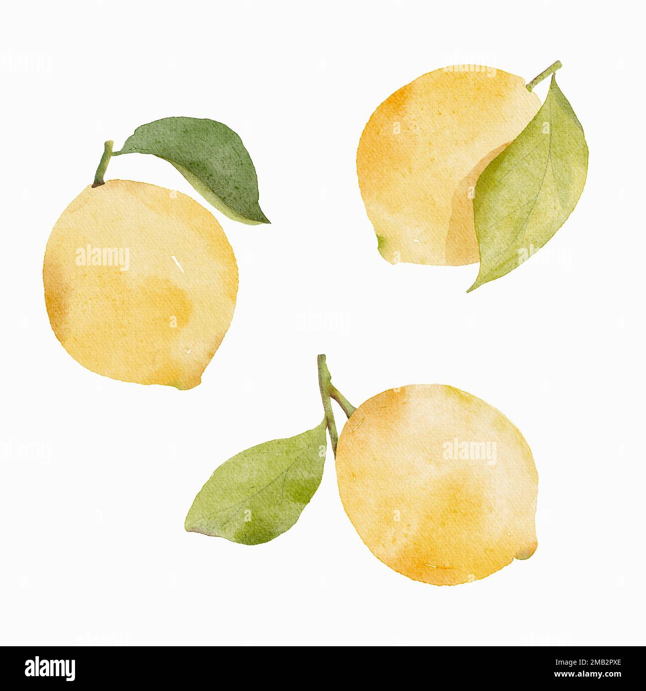 Watercolor set of yellow lemons with green leaves on white background ...