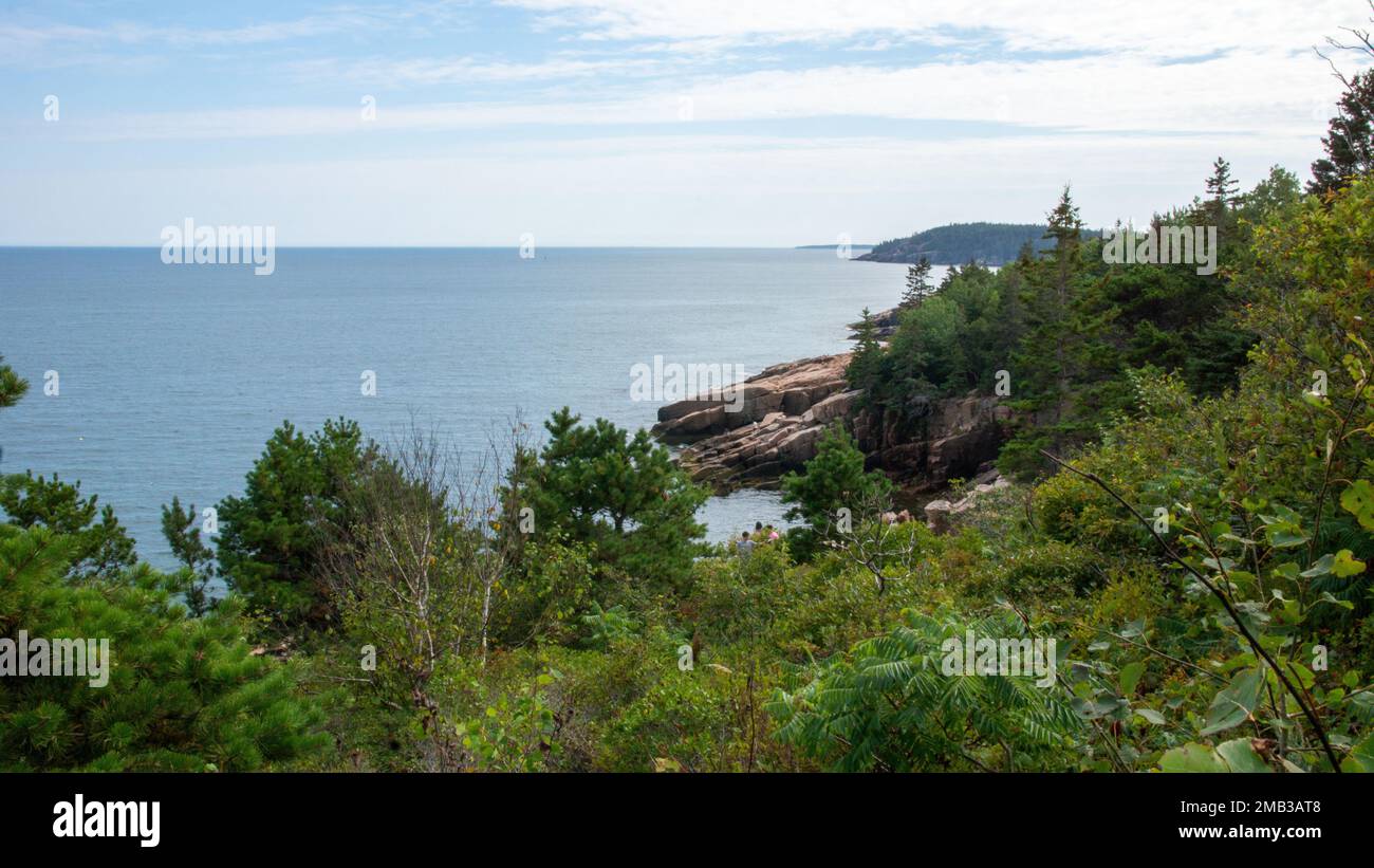 An aerial view of lake surrounded by dense trees Stock Photo - Alamy
