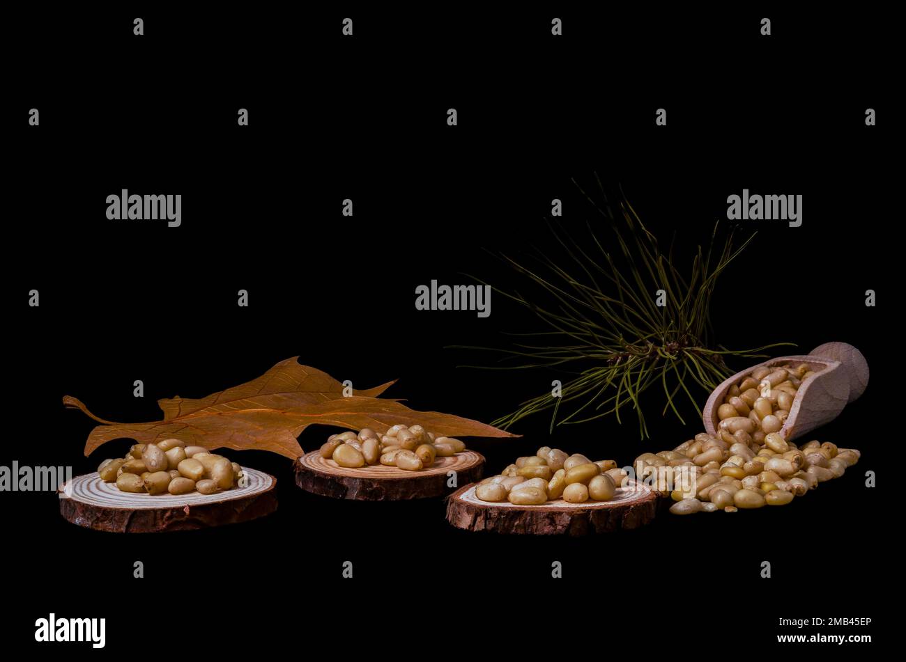 Pine nuts on slices of wood dried leaves and pine branch Stock Photo