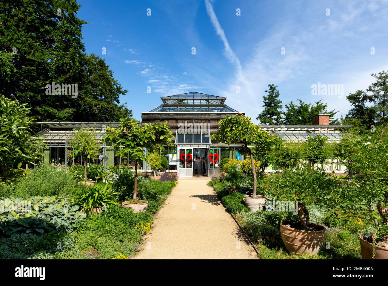 Palm house with cafe in the botanical garden, Stadtpark, Guetersloh, East Westphalia, North Rhine-Westphalia, Germany Stock Photo