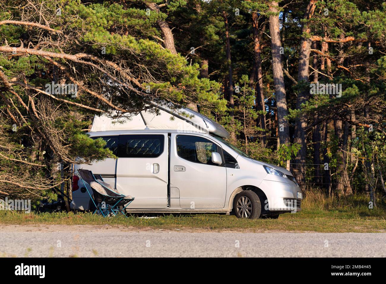 Campervan under pine trees, mini camper with popup roof, two chairs, wild camping, free