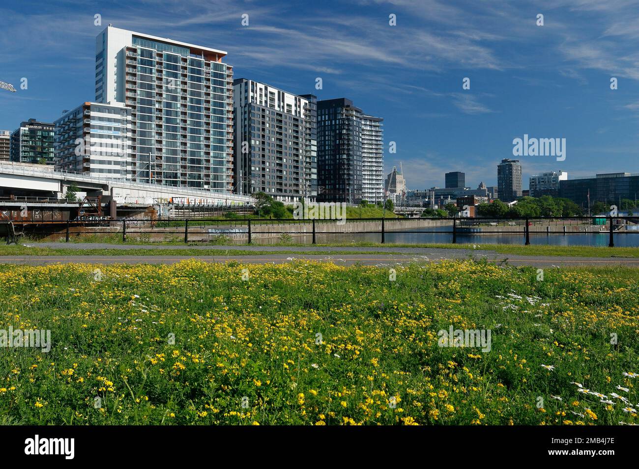 Modern apartment buildings, Montreal, Province of Quebec, Canada Stock