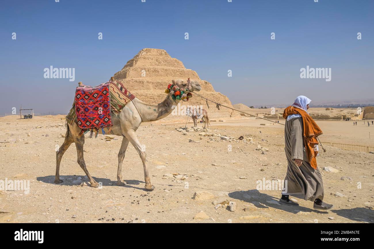 Camel as a mount for tourists, Step Pyramid of King Djoser, Necropolis of Sakkara, Egypt Stock Photo