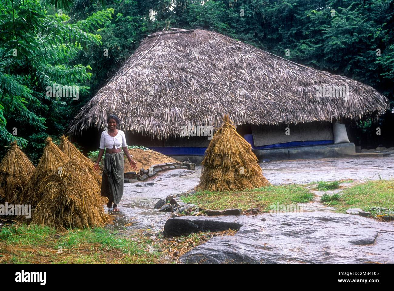 A Farm House Or Hut In Wayanad Kerala India Asia Stock Photo Alamy a-farm-house-or-hut-in-wayanad-kerala-india-asia-stock-photo-alamy