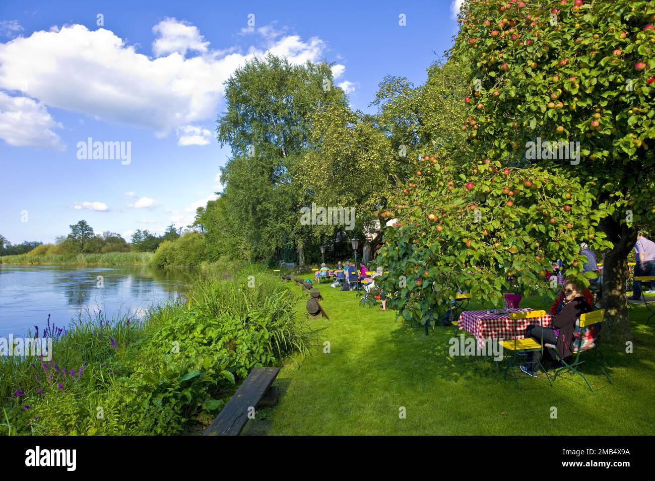 Beer garden under apple trees, Bremen Dammsiel, Germany Stock Photo - Alamy