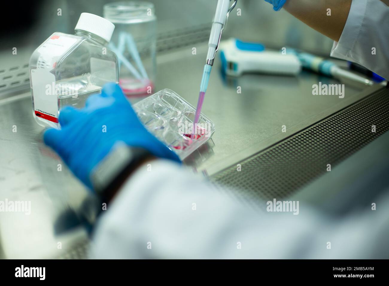 cell culture at the medicine, medical and cell culture laboratory Stock