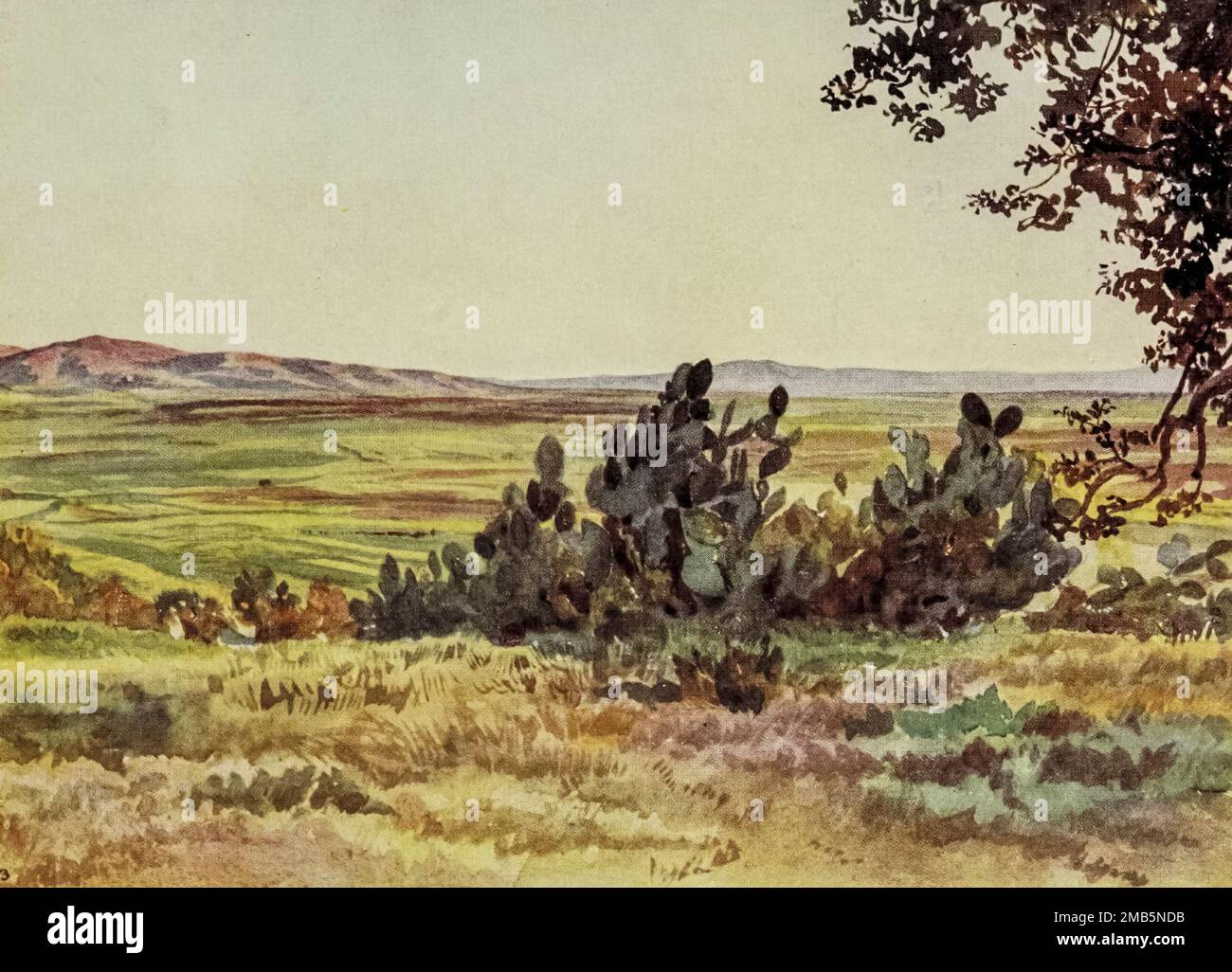The Plain of Esdraelon, from foot of Tabor, with the village of Naim in distance from the book ' Letters from the Holy land ' by Elizabeth Butler, Published in London by Adam & Charles Black first published in 1903 and reprint in 1906 Stock Photo