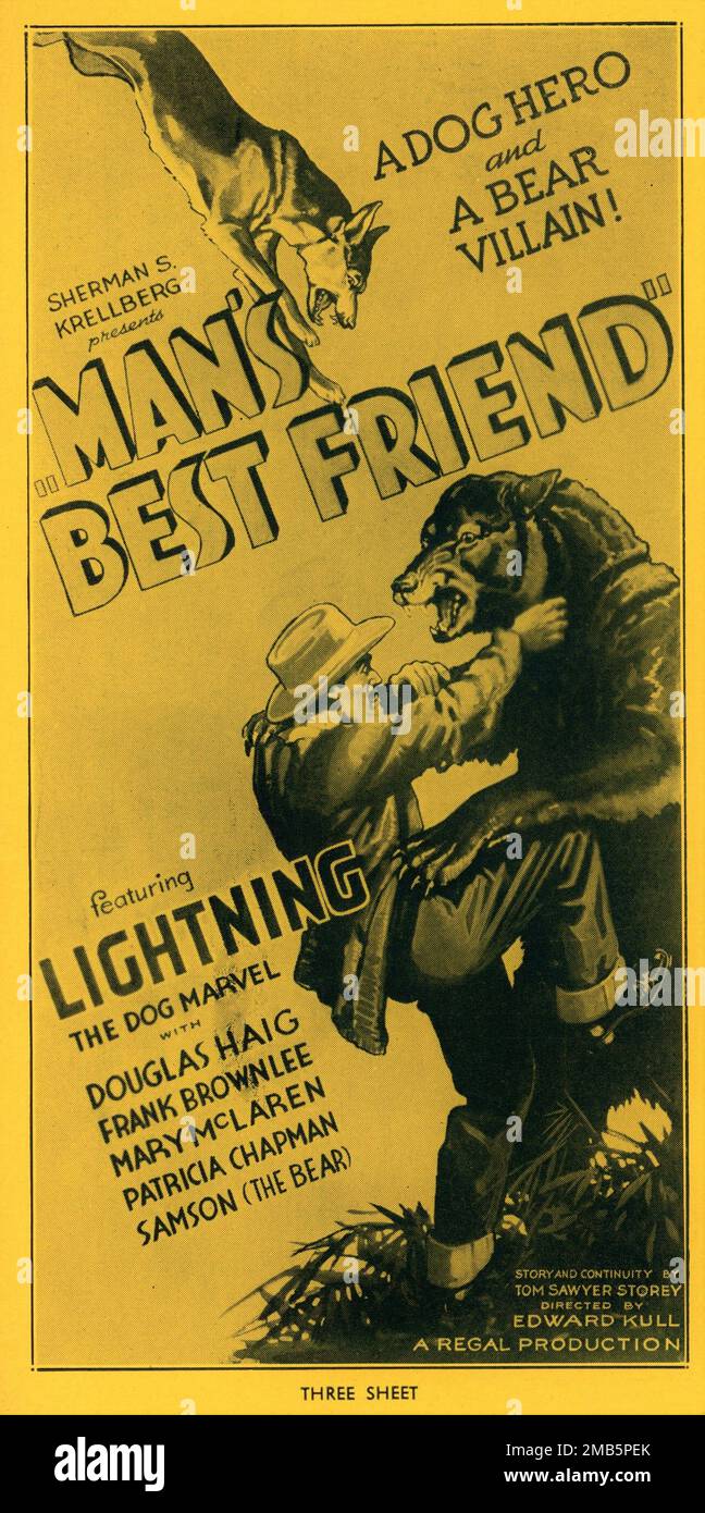 LIGHTNING the MARVEL DOG and SAMSON the Bear in MAN'S BEST FRIEND 1935 director EDWARD KULL story and continuity Tom Sawyer Storey producers Edward Kull and Earl Johnson presenter Sherman S. Krellberg A Regal Production Stock Photo