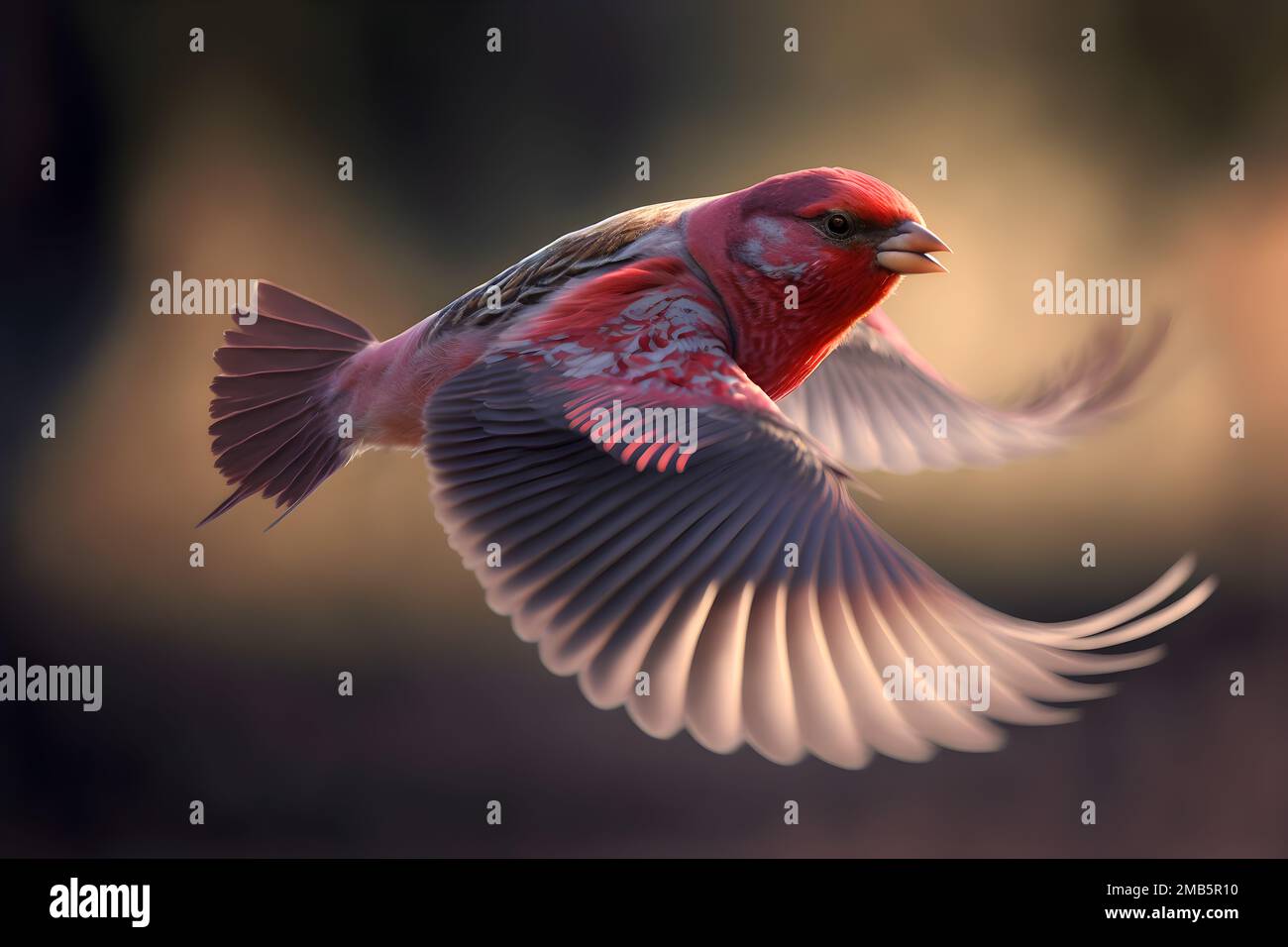 Drawing of flying bird hi-res stock photography and images - Alamy