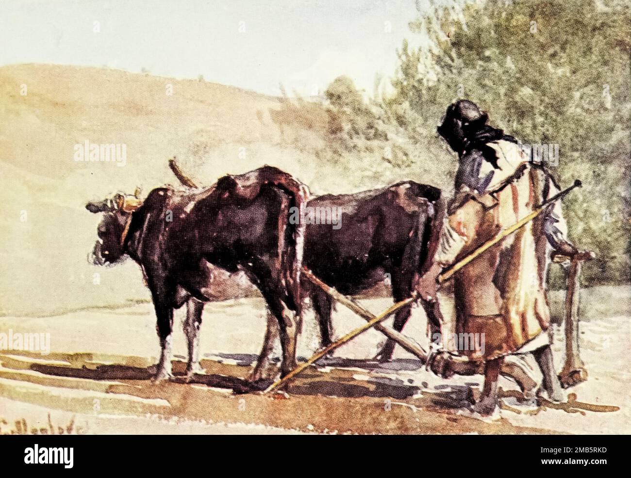 Ploughing on the Mount of Olives Painted by John Fulleylove from the book ' The Holy land ' Described by John Kelman 1864-1929 Publication date 1902 Publisher London : A. & C. Black Stock Photo